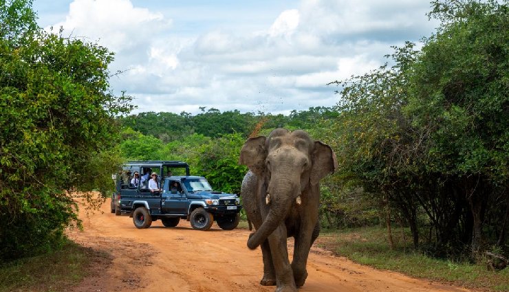 sri lanka travel,best places to visit in sri lanka,sri lanka tourism,sri lanka attractions,top destinations in sri lanka,colombo travel,bentota beach,kandy temple,galle fort,polonnaruwa ruins,yala national park,udawalawe safari,sri lanka vacation,sri lanka itinerary