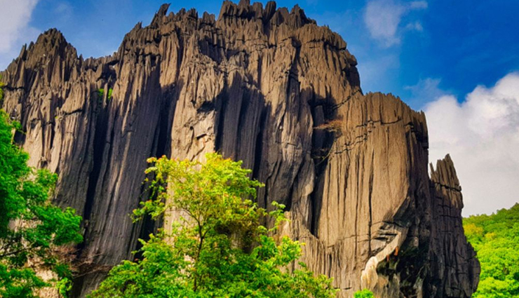 karnataka tourist attractions,shalamala river in karnataka,surprises for tourists in karnataka,best tourist spots in karnataka,karnataka sightseeing destinations,hidden gems of karnataka,exploring shalamala river in karnataka,unique experiences in karnataka,unforgettable moments in karnataka,discovering surprises at shalamala river