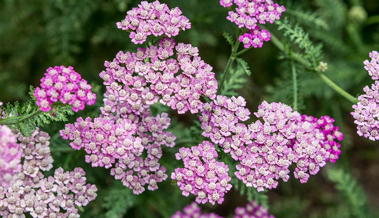 carpal tunnel syndrome,carpal tunnel syndrome treatment,home remedies to treat carpal tunnel syndrome,Health,Health tips