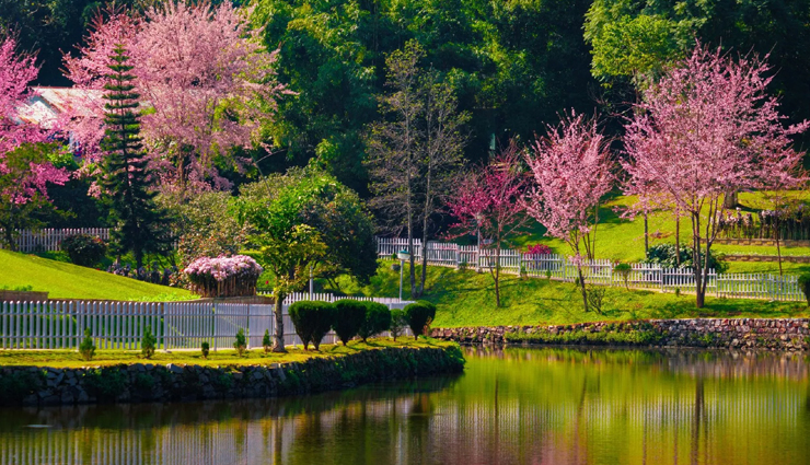 amazing places to celebrate new year on a budget in india,holiday,travel,tourism