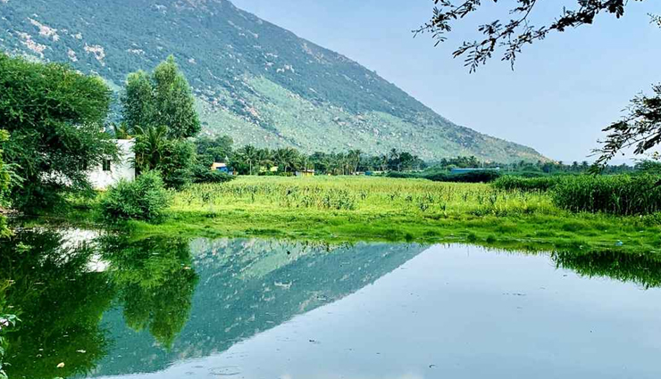 tamil nadu,tamil nadu honeymoon destinations,honemoon places in tamil nadu,travel,holidays