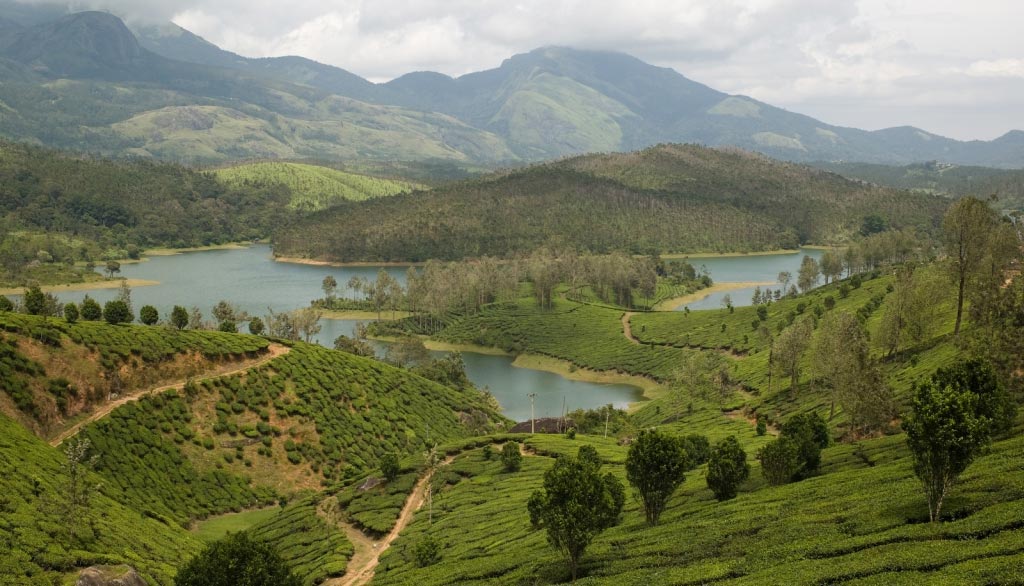 तमिलनाडु के टॉप फेमस और दिलकश हिल स्टेशन, जहा छुटियाँ मनना रहेगा यादगार tamil nadu,tamil nadu tourism,tamil nadu hill stations,holidays,travel,ooty hill station