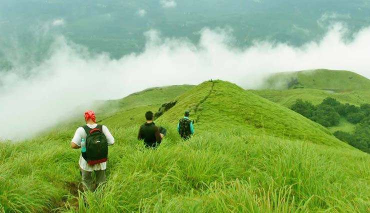 तमिलनाडु के वेल्लोर जिले में स्थित खूबसूरत पहाड़ी पर्यटक स्थान - येलागिरी हिल्स, ट्रेकिंग के लिए बेस्ट