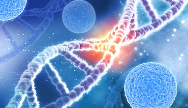 yellow watermelon,health benefits,antioxidants,vitamin c,beta-carotene,lycopene,hydration,weight loss,digestive health,cardiovascular health,eye health,immune system,low calorie,low sugar,nutritious,summer fruit,seasonal fruit,sweet taste,refreshing,snack