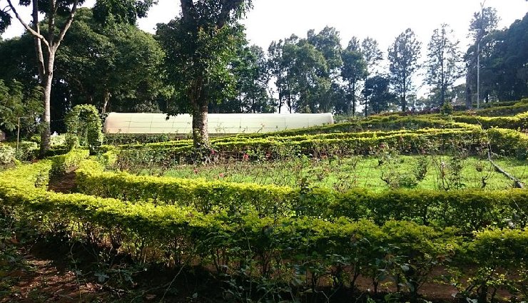 yercaud,yercaud tourism,yercaud travel guide,yercaud attractions,yercaud places to visit,tamil nadu tourism,tamil nadu hill stations,india hill stations,nature tourism,adventure tourism,family tourism,honeymoon destinations,indian travel,india tourism,travel blog,travel guide,travel tips