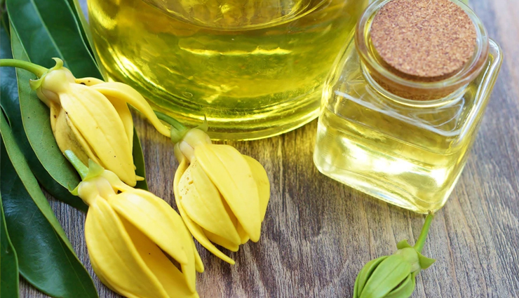 essential oils for pain relief,natural remedies for body pain,top oils for easing body pain,anti-inflammatory essential oils,muscle pain relief with essential oils,joint pain relief with essential oils,headache relief with essential oils,pain management with essential oils,aromatherapy for pain relief,holistic pain relief with essential oils