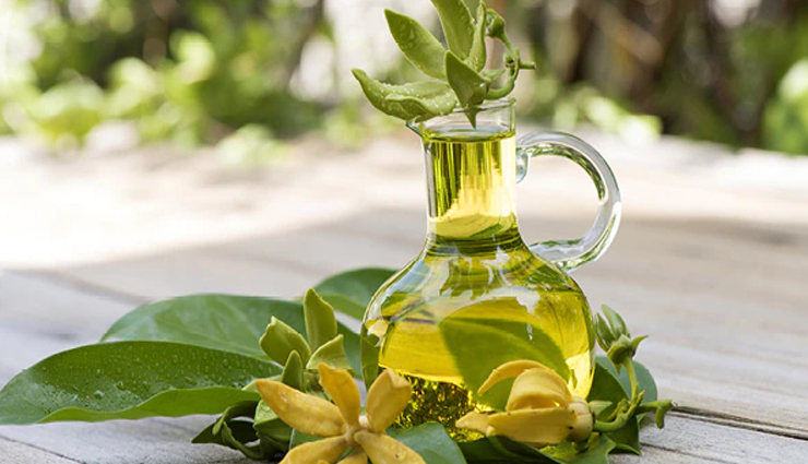 essential oils that are amazing for curly hair,beauty tips,beauty hacks