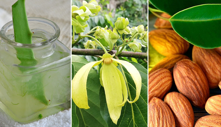 blonde hair,treat blonde hair,natural conditioner to treat blonde hair,diy natural conditioner to treat blonde hair,hair care tips,hair care,beauty,beauty tips