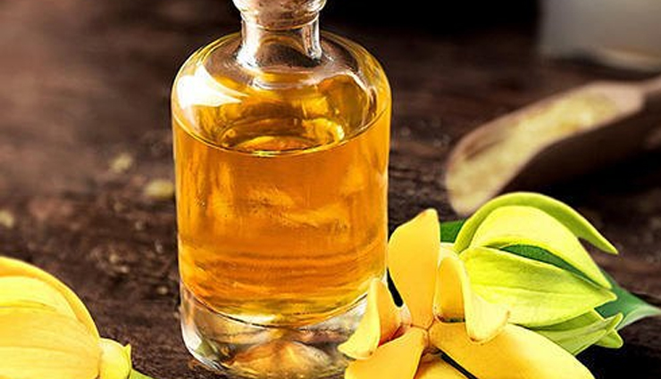 anti-wrinkle essential oils,essential oils for youthful skin,natural remedies for wrinkles,wrinkle-reducing essential oils,essential oils for skin rejuvenation,best oils for wrinkle-free skin,youthful skin essential oils,essential oils for anti-aging,natural wrinkle remedies,essential oils for skin elasticity