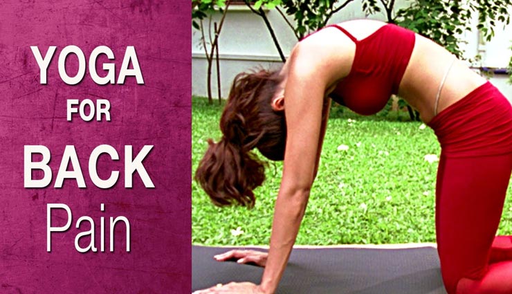 शिल्पा शेट्टी के इस योग से भगाएं कमर दर्द, मिलेगी जल्द राहत Health tips,health tips in hindi,back pain remedies,home remedies,cat camel pose,Shilpa Shetty