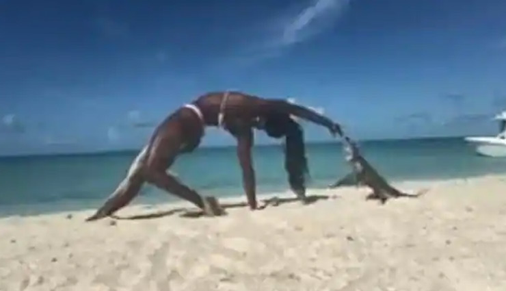 समुद्र किनारे बिकनी पहन योगा कर रही थी महिला, तभी एक जानवर ने किया हमला, वीडियो में देखें फिर क्या हुआ...