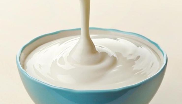 food dog loves to eat,dogs favorite food,dogs food,vegetables for dogs,dogs care