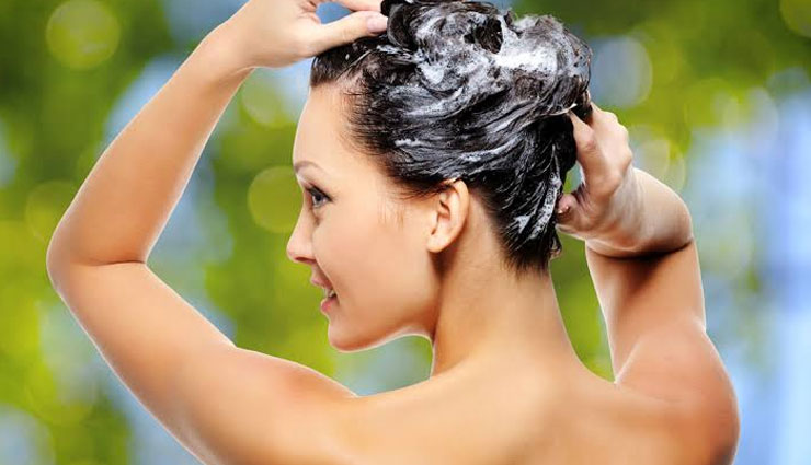 dry scalp,dry scalp treatment,remedies for dry scalp,remedies to treat dry scalp,dry scalp massage,hair massage benefits,warm oil massage,aloe vera hair massage,honey mask hair,yogurt benefits for hair,apple cider vinegar for hair,beauty,beauty tips