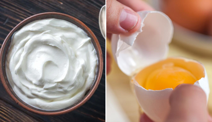 homemade conditioners,homemade conditioners for hair,hair care tips,hair care,hair beauty,hair beauty tips,simple hair care tips,healthy hair