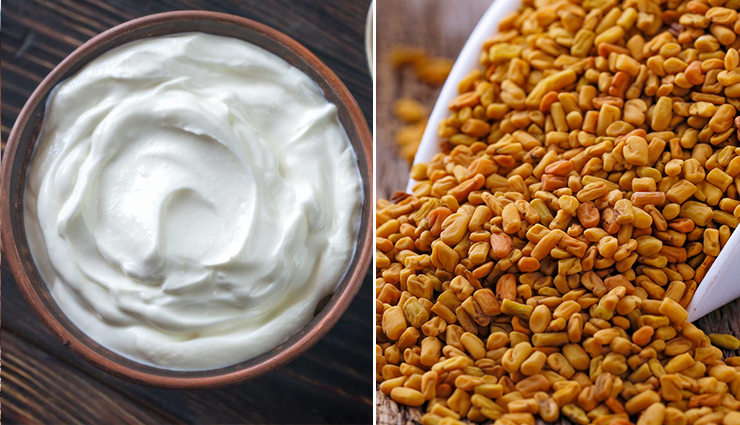 neem,dandruff,cure dandruff to use neem,neem to cure dandruff,Dandruff problem,hair care tips,hair dandruff,beauty,beauty tips