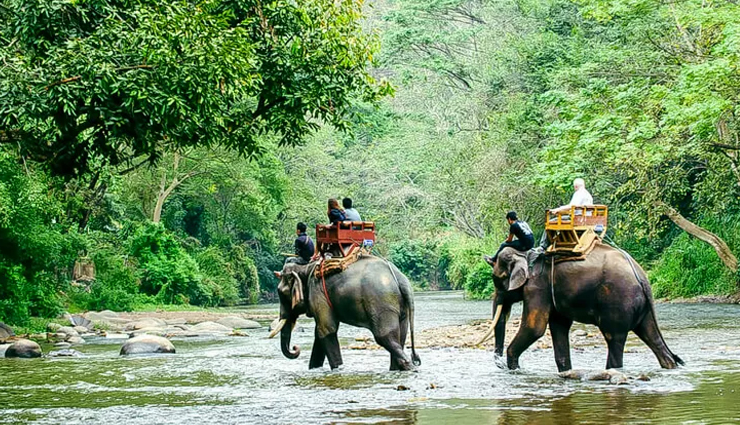 buon ma thuot attractions,dray nur waterfall vietnam,lak lake buon ma thuot,dak lak museum history,yok don national park wildlife,ban don village culture,central highlands vietnam travel,coffee capital vietnam,things to do buon ma thuot,vietnam tourist destinations