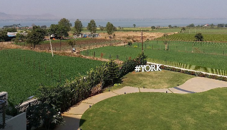 vineyards in india,wine tourism in india,indian wine destinations,wine tasting in india,best vineyards to visit in india,wine tours in india,wine experiences in india,indian wineries and vineyards,grape harvesting in india,wine culture in india,indian wine regions,wine trails in india,wine production in india,wine tourism experiences,wine festivals in india,wine appreciation in india,wine and food pairing in india,wine education in india,vineyard tours in india,indian wines and vineyards