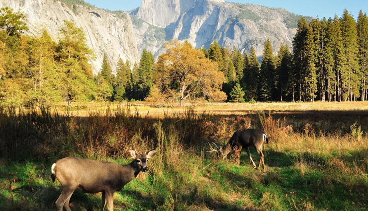 winter destinations,winter destinations around the world,places to visit in winter,munich,shirakawa,st petersburg,harbin,kitzbuhel,yosemite national park,holidays,foreign destinations,travel guide