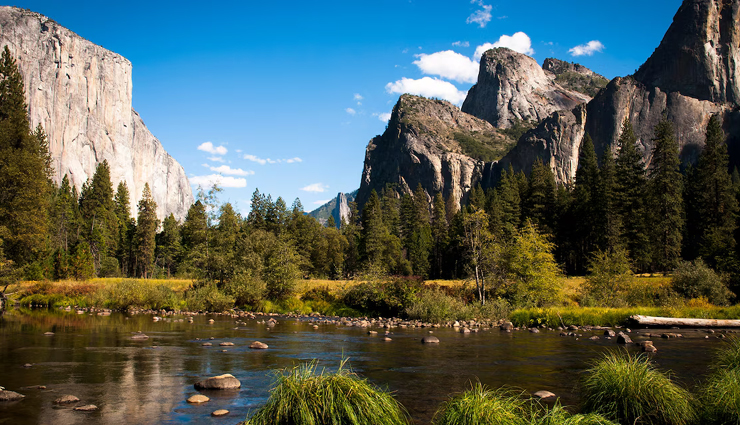 famous wildlife safaris,top safaris around the world,best wildlife safari destinations,popular global safaris,must-visit safari parks,wildlife safari tours,iconic safaris worldwide,top safari experiences,safari travel destinations,exotic safari trips