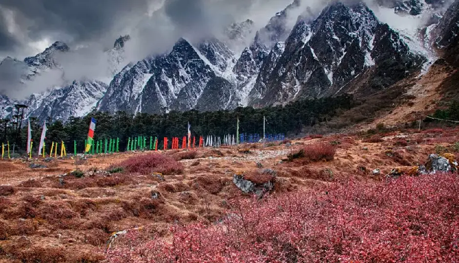 most beautiful places in india,places like kashmir in india,kashmir alternatives travel,tawang travel guide,auli winter destinations,kalpa himachal tourism,yumthang valley sikkim trip,chopta trekking uttarakhand,mechuka arunachal tourism,dzukou valley nagaland trek
