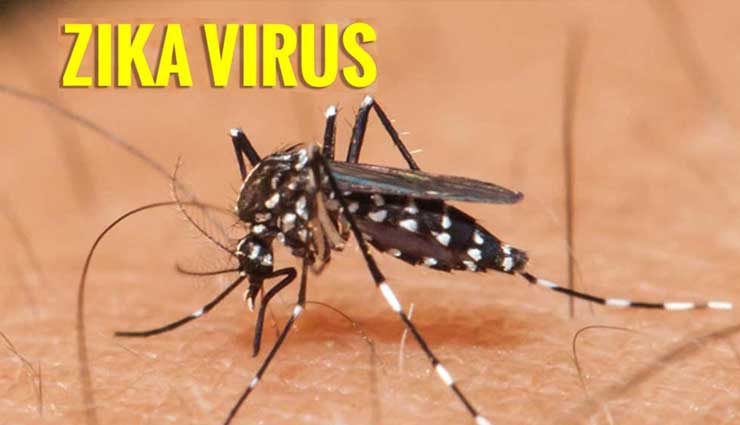 राजस्थान : जयपुर में फैला जीका वायरस, 22 मरीज मिले, PMO ने मांगी रिपोर्ट