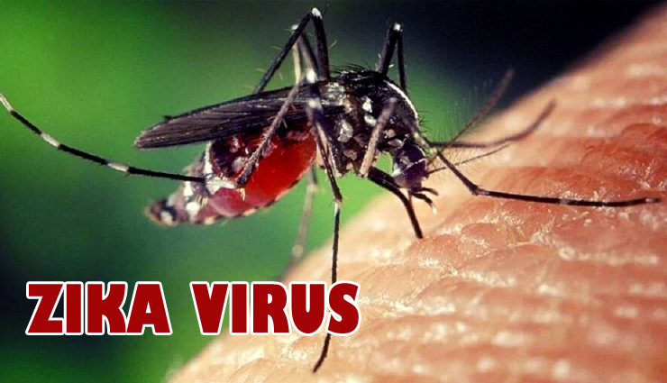 जानें कैसे फैलता है Zika Virus, क्या होते है इसके लक्षण और किन बातों का रखना होता है ध्यान 