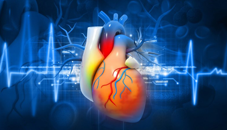 जिंक की कमी से दिल संबंधी गंभीर बीमारियों को दावत देता हैं शरीर, इन 10 आहार से करें भरपाई