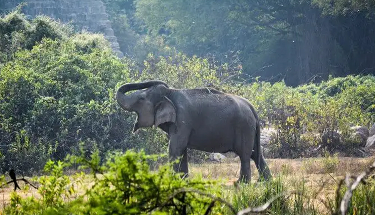 6 Biggest Zoo To Visit Across India