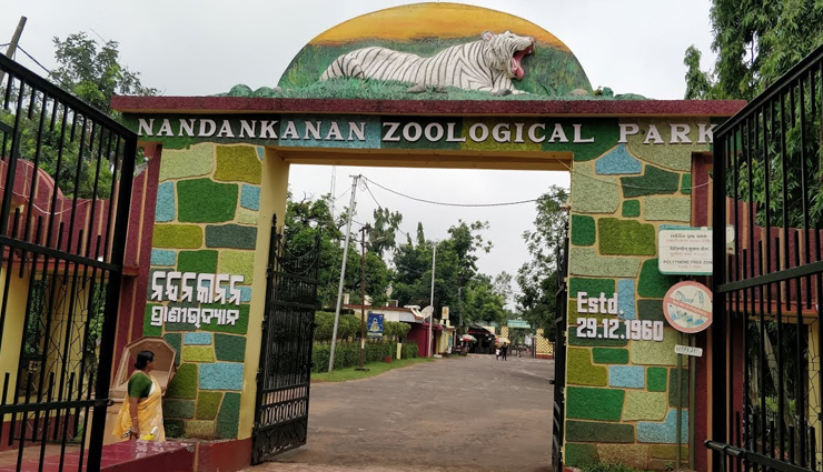 biggest zoo,zoo to visit across india,zoo in india,india,arignar anna zoological park,nandankanan zoological park,indira gandhi zoological park,assam state zoo cum botanical garden,nehru zoological park,mysore zoo