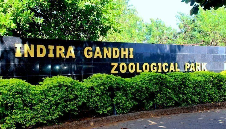 biggest zoo,zoo to visit across india,zoo in india,india,arignar anna zoological park,nandankanan zoological park,indira gandhi zoological park,assam state zoo cum botanical garden,nehru zoological park,mysore zoo