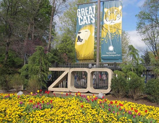 5 Must Visit Zoo If You Are in USA