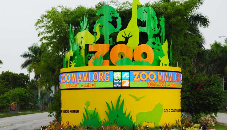 5 must visit zoo if you are in usa,top 5 zoo in usa,best zoo in usa,memphis zoo,saint louis zoo,lincoln park zoo,cincinnati zoo,zoo miami,places to be visited in usa