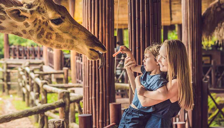 mother and son bonding activities,fun date ideas for mom and son,strengthening the mother-son bond,activities to connect mom and son,quality time ideas for mom and son,mom and son bonding date ideas,building a strong bond between mother and son,creative ways to strengthen mom-son relationship,meaningful mother-son bonding experiences,memorable mom and son date ideas,nurturing the mom-son connection,enjoyable activities for mom and son bonding,enhancing the mother-son relationship,unforgettable moments for mom and son,mom and son quality time suggestions,foster a strong bond between mom and son,connecting deeply with mom and son,mom-son relationship building through activities,special dates for mom and son,strengthening family ties: mom and son edition