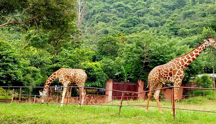 biggest zoos of india,zoo of india,tourism,travel,holidays
