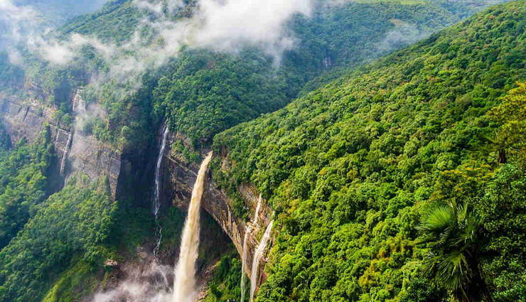 these 5 largest forests of the country are known for dangerous animals,holiday,travel,tourism