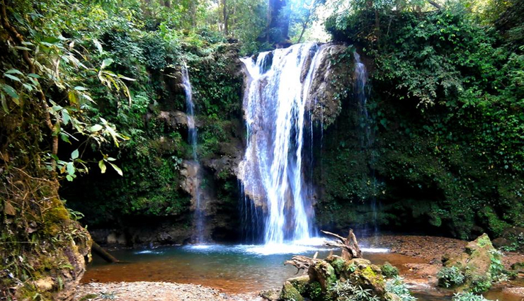 these 5 largest forests of the country are known for dangerous animals,holiday,travel,tourism