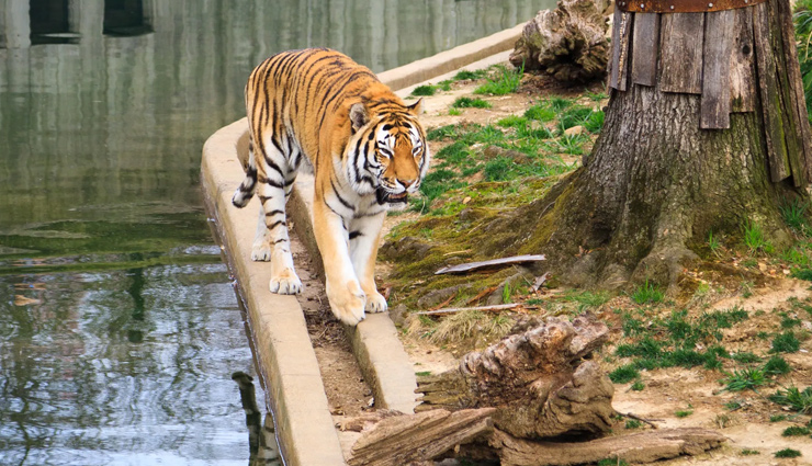 biggest zoos of india,zoo of india,tourism,travel,holidays