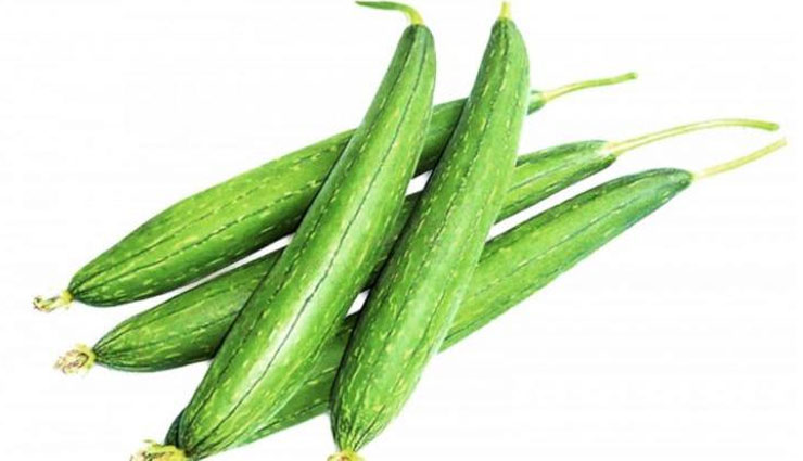 healthy benefits of turai,turai health benefits,turai,health benefits,Health tips,Health