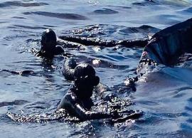 கடலில் கலந்துள்ள கச்சா எண்ணெய்; சுற்றுச்சூழல் பிரச்னையை எதிர்நோக்கும் மொரீசியஸ்