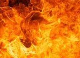 விழுப்புரம் அருகே முந்திரி எண்ணெய் தொழிற்சாலையில் தீவிபத்து