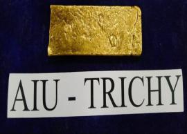 திருச்சி விமான நிலையத்தில் கடத்தி வரப்பட்ட 1.75 கிலோ தங்கம் பறிமுதல்