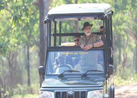 தெப்பக்காடு யானைகள் முகாமிற்கு சென்ற பிரதமர் மோடி