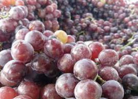 சரும பராமரிப்புக்கு உகந்த உணவுகள் பற்றி தெரிந்து கொள்ளுங்கள்