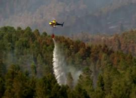 ஸ்பெயினின் வனத்தில் ஏற்பட்டுள்ள காட்டுத்தீயை அணைக்க தீவிர முயற்சி