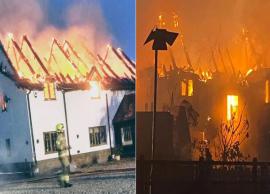 தீப்பிடித்த வீட்டிலிருந்து உரிமையாளரை காப்பாற்றிய நாய்கள்