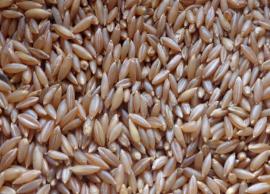 சீரான உடலமைப்பை பெற உதவும் மூங்கிலரிசி! ஆரோக்கியத்தை உயர்த்தும்!!!