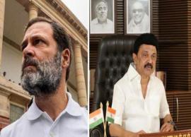 நீதி வென்றுள்ளது... ராகுல் வழக்கு குறித்து முதல்வர் ஸ்டாலின் ட்வீட்