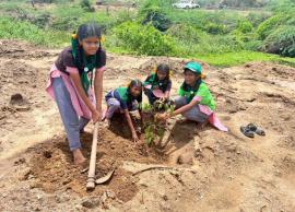தோகூரில் மரக்கன்று நடும் விழா