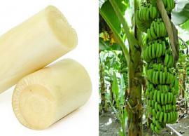 வாழையில் அடங்கியுள்ள ஏராளமான மருத்துவக்குணங்கள்