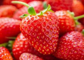வைட்டமின் சி, ஆண்டிஆக்ஸிடண்ட் நிறைந்த ஸ்ட்ராபெர்ரி